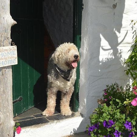 Lissyclearig Thatched Cottage Kenmare Eksteriør bilde