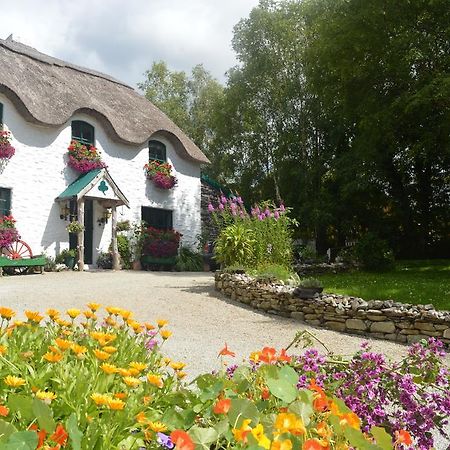 Lissyclearig Thatched Cottage Kenmare Eksteriør bilde