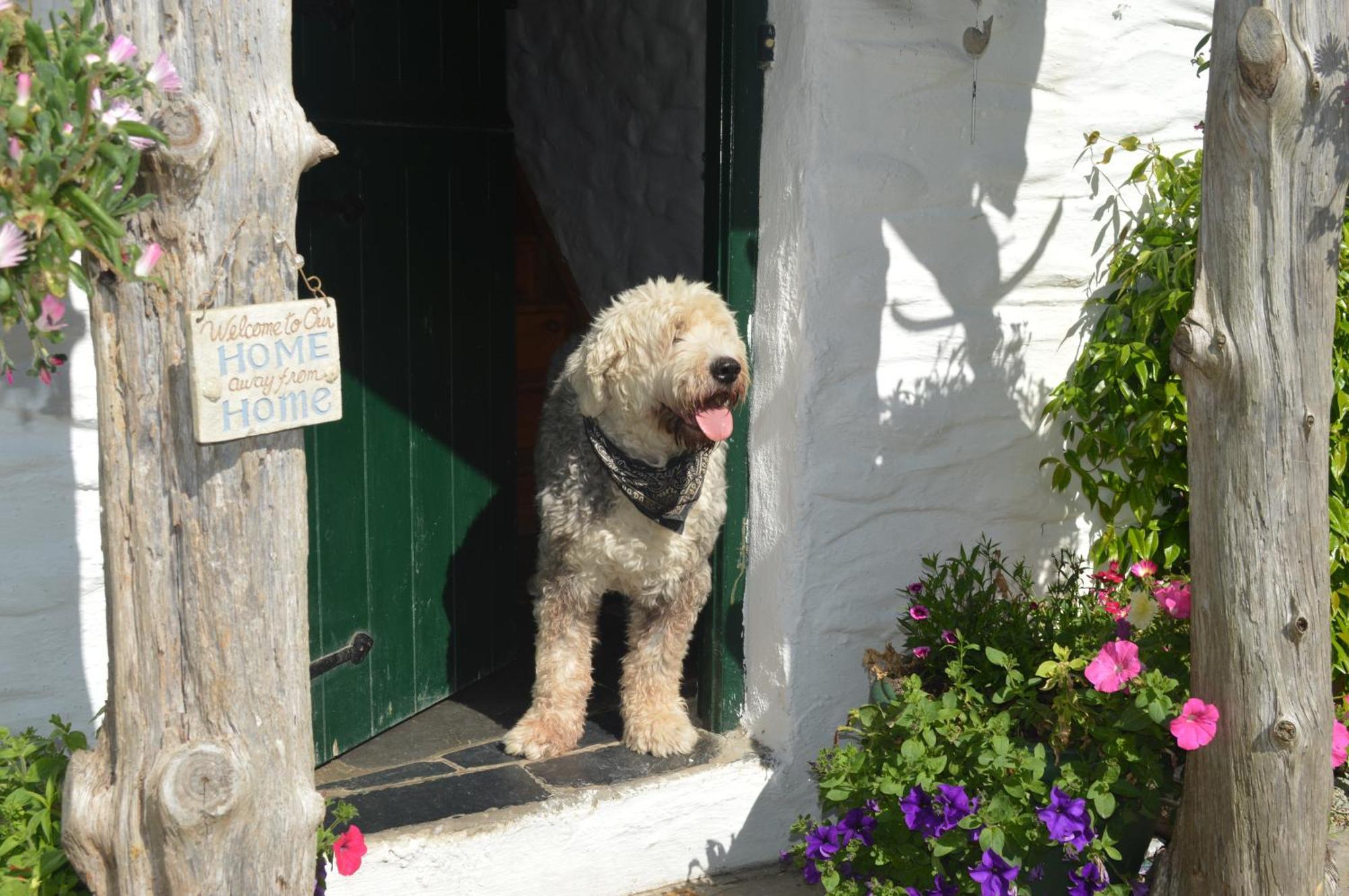 Lissyclearig Thatched Cottage Kenmare Eksteriør bilde